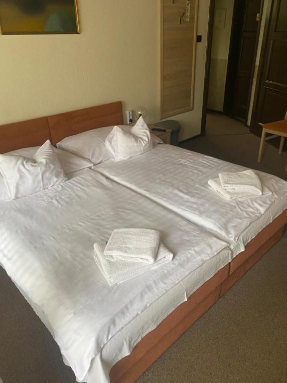 Hotel Molnár - Resim 3