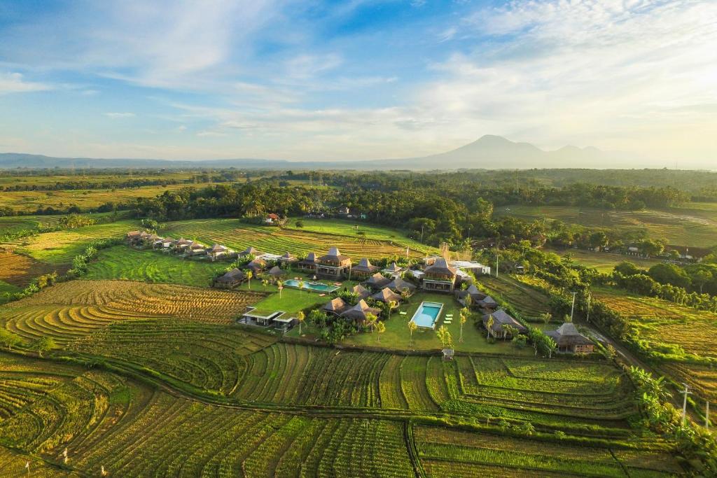 an aerial view of a farm with a resort at Alami Boutique Villas & Resort in Tabanan