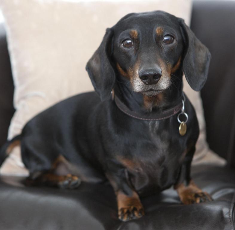 Hope Street Hotel - Resim 22