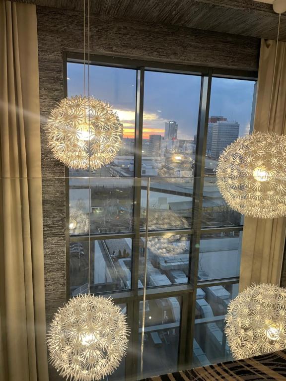 Ambasador Premium - Resim 31