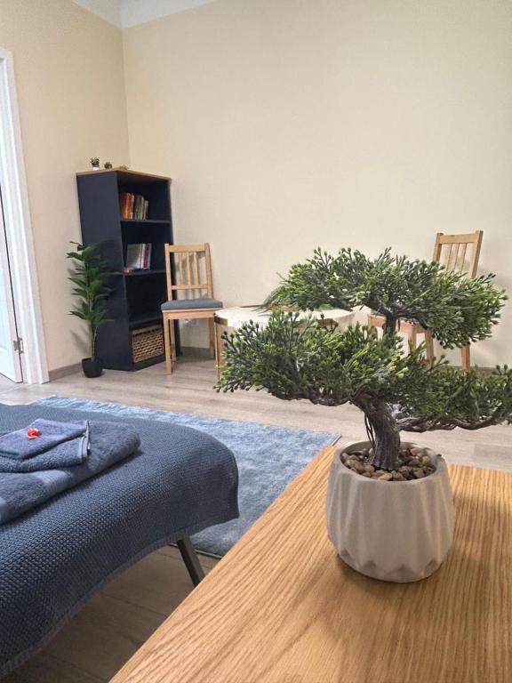 a bonsai tree sitting on a table in a living room at Sea Shell Hideout in Ventspils