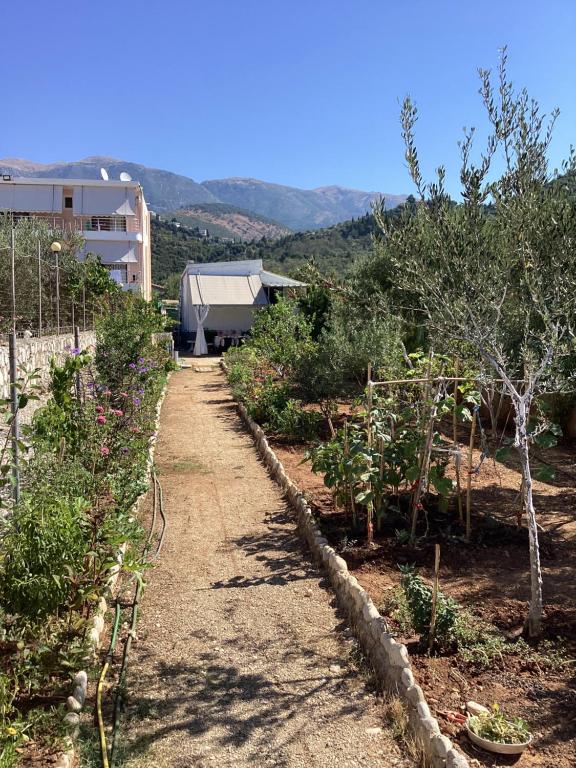 a garden with trees and plants on a hill at Little Paradise Livadi Himare in Himare
