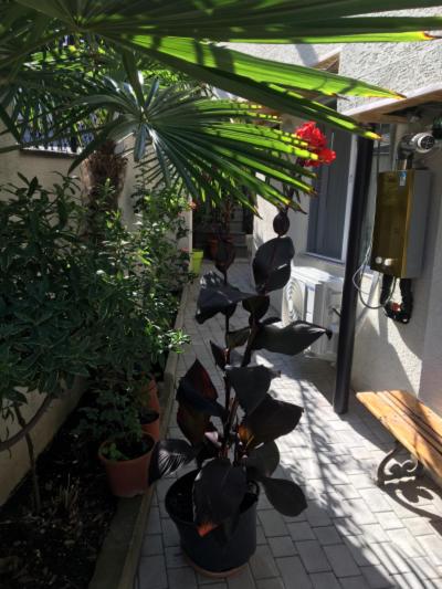فضای داخلی 10 b shindisi street,Tbilisi در تفلیس - تصویر ۳