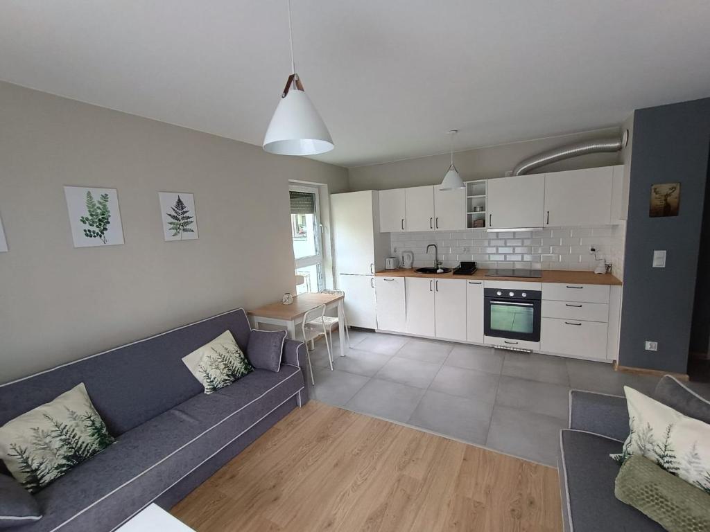 a living room with a couch and a kitchen at Mieszkanie Oborniki Śląskie in Oborniki Śląskie
