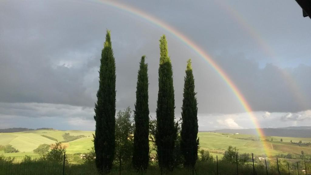モンタルチーノにあるL'Incantoの檜の群虹