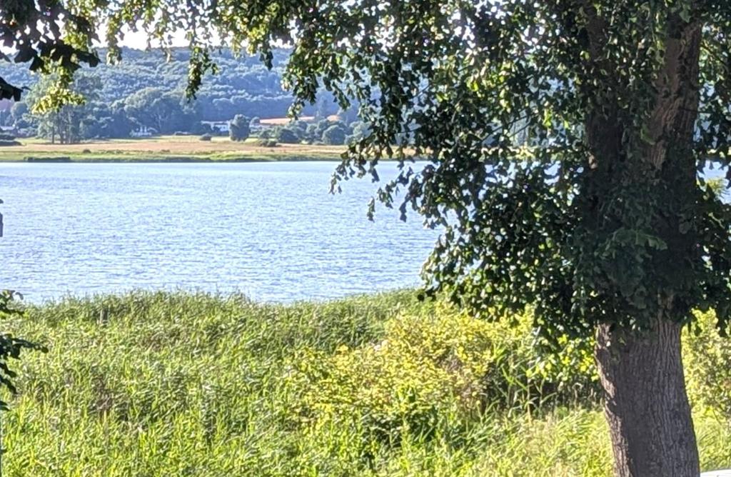 Ostseebad Sellin - OT Seedorf Appartement mit Seeblick - Housity