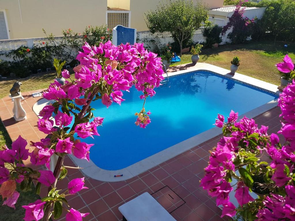 a swimming pool with purple flowers around it at Vila Candeias, Vilamoura, Algarve, Beach, 10p in Quarteira