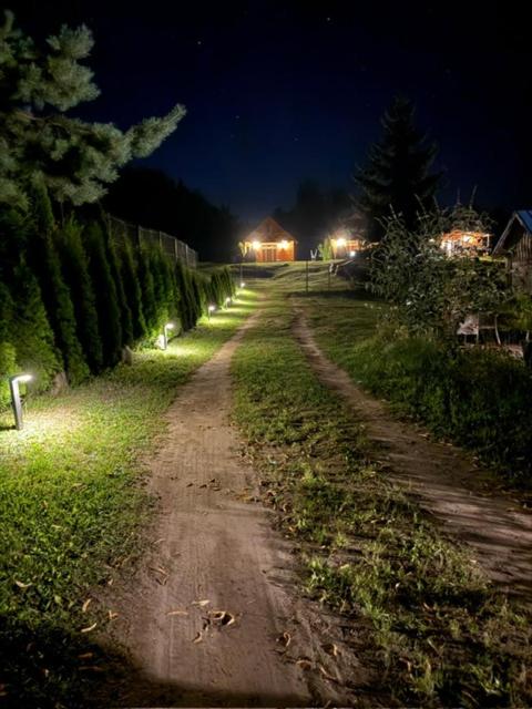 a dirt road in a field at night at Domki Letniskowe Kosewo in Kosewo