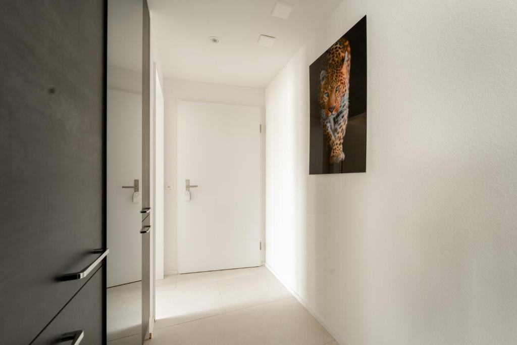 Gemütliche Wohnung im Kanton Zürich! - Resim 9