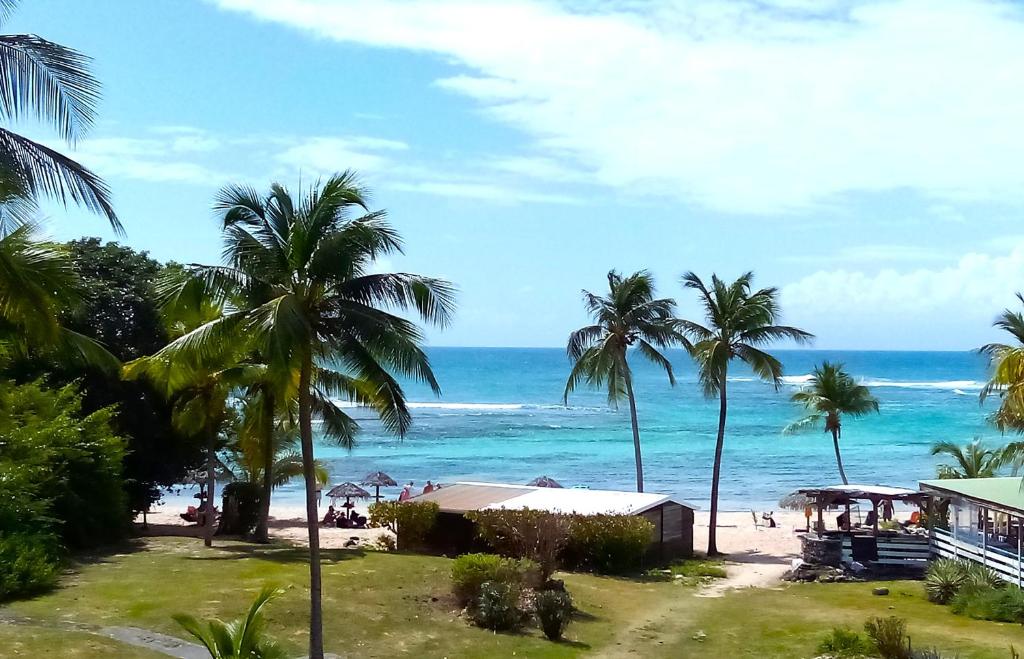 a view of a beach with palm trees and the ocean at Karpé diem in Saint-François