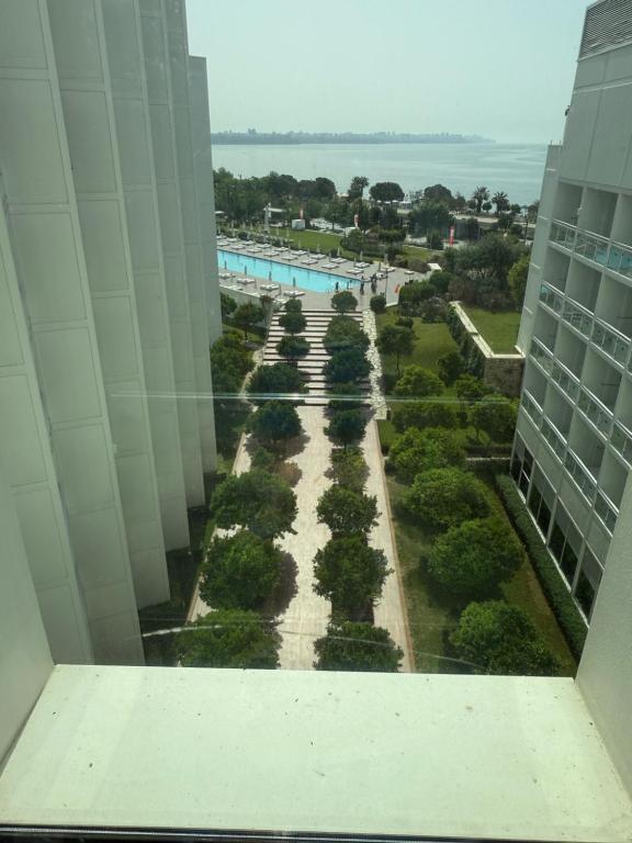 a view of a garden from the top of a building at Pensiunea Adriana in Tulcea
