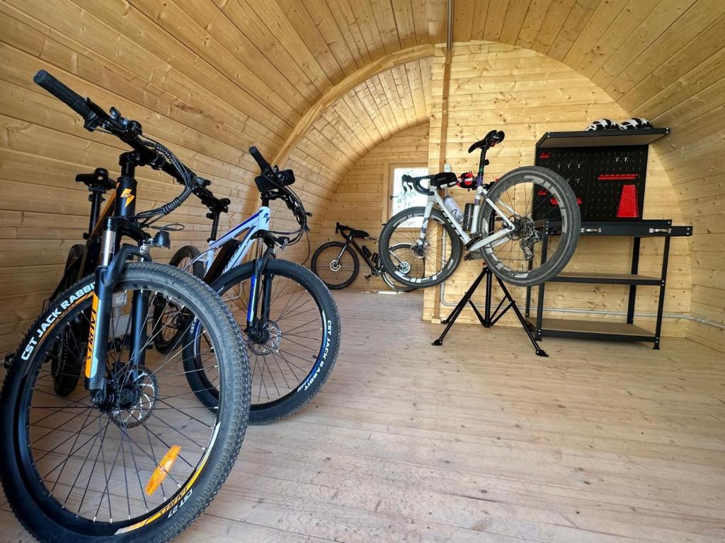 Bed&BikeRome GALERIA ANTICA
