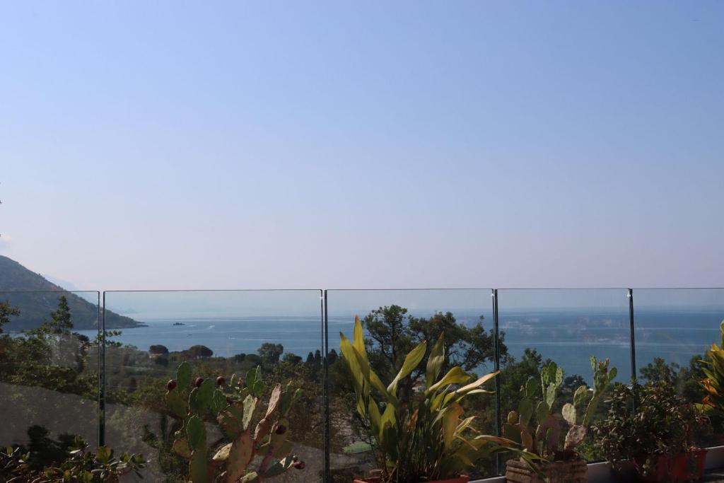 a view of the ocean from a garden with cactus at Donna Paolina Rooms & Apartments in Villammare