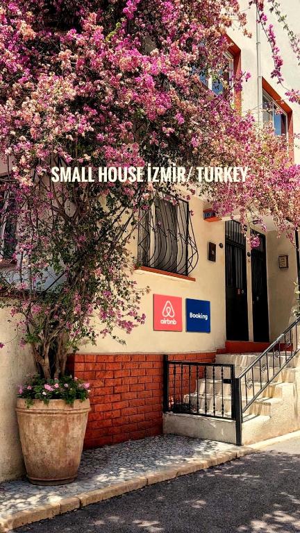 a building with a tree with pink flowers on it at Small House in İzmir