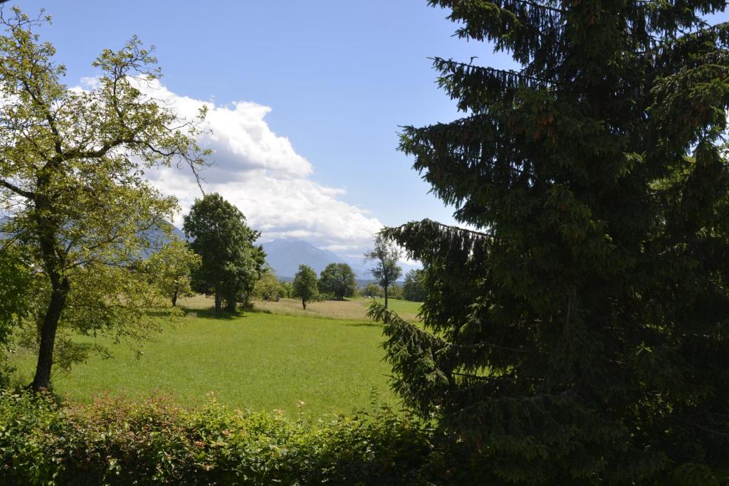 Příroda nedaleko bed and breakfast