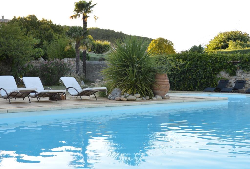 a pool with lounge chairs and a palm tree at Domaine de la Manse in Villeneuve-de-Berg
