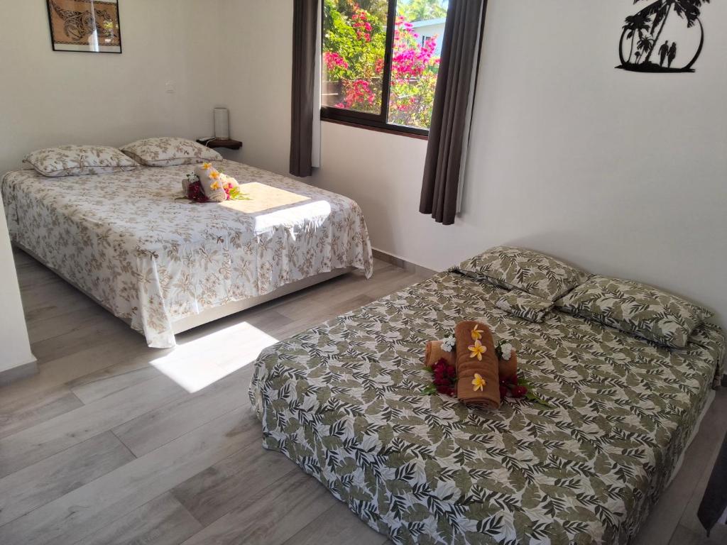 Kahaia Lodge, Avatoru - photo 8 - Rangiroa, Polynésie