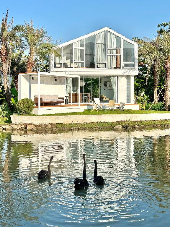three black ducks in the water in front of a house at Villa At On Organic Farm in Ban Wak