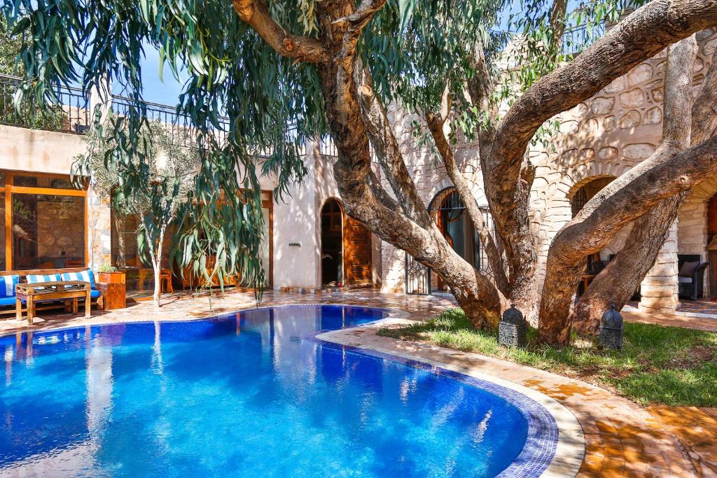a swimming pool with a tree in front of a building at DAR ETTO Riad & Spa in Essaouira