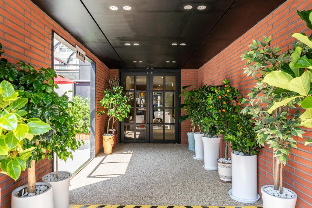 a group of potted plants on the side of a building at Brown Dot Hotel Hot Spring Yuseong in Daejeon