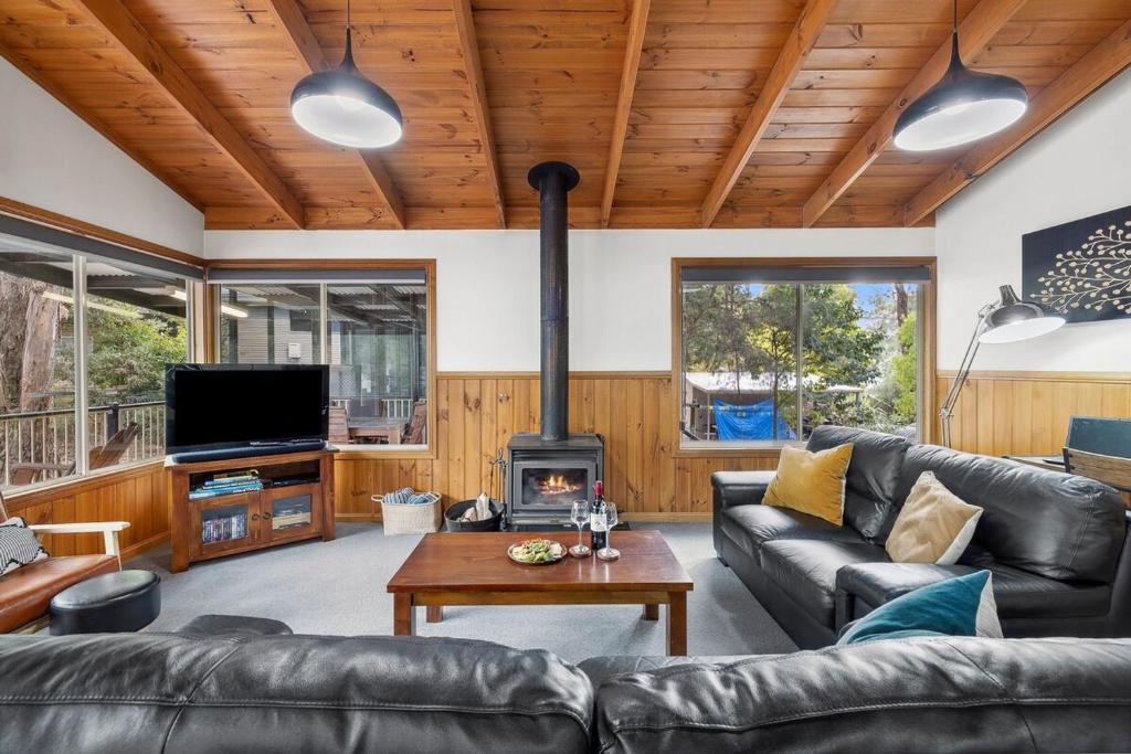 霍尔斯加普Mountain Hideaway by Halls Gap Accommodation的带沙发和壁炉的客厅