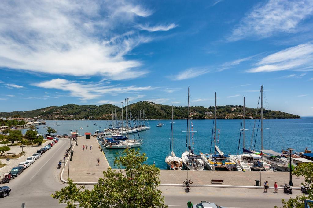 a group of boats docked at a marina at Hotel Akti in Skiathos