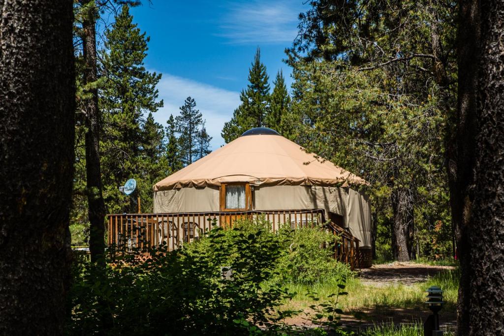 a yurt in the middle of a forest at Bend-Sunriver Camping Resort 24 ft. Yurt 16 in Sunriver