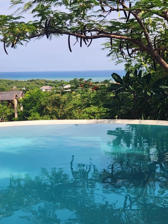 a swimming pool with a view of the ocean at Amixtli in Paso Hondo