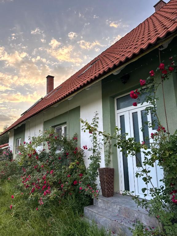 a house with pink flowers in front of it at Villa Viktória in Lunca de Sus