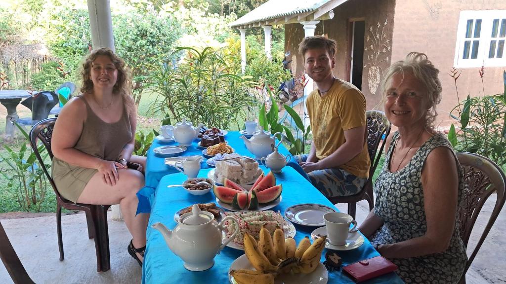 Peacock Family Stay - 8