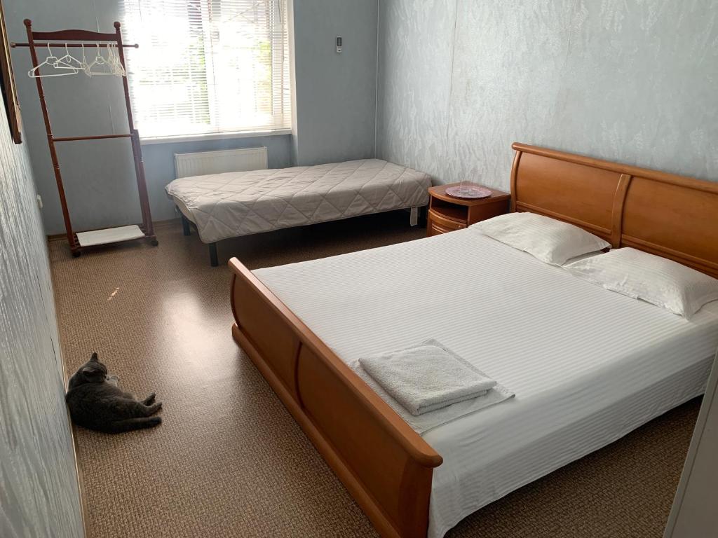 a bedroom with two beds and a cat laying on the floor at Ludmila guest house - гостевой дом "Людмила" in Odesa