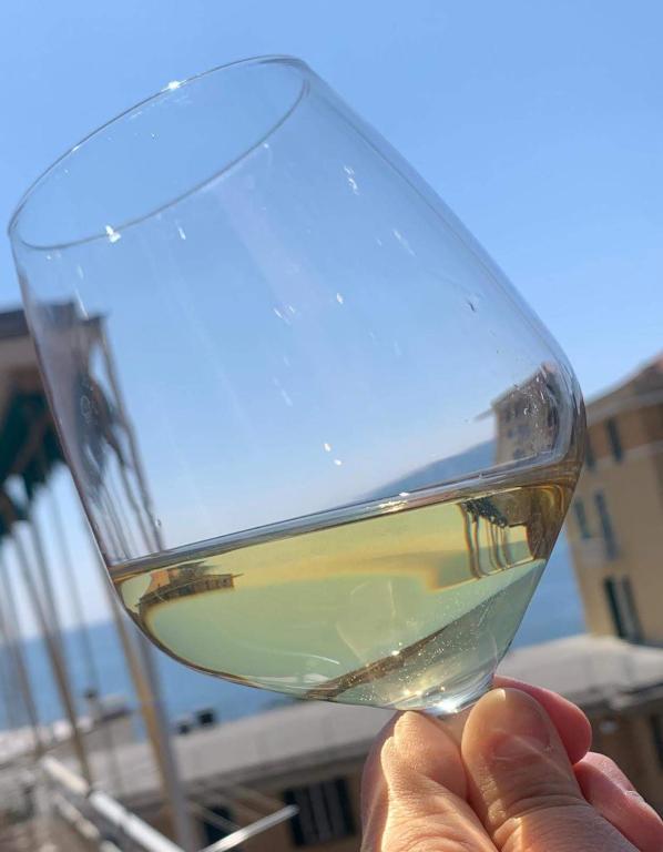 a person holding up a glass of white wine at WELCOME RIVIERA-Primavera 1A- Vista mare- spazioso e comodo appartamento-2 bagni-wifi-aria condizionata in ogni stanza-garage a 15 euro al giorno in Rapallo