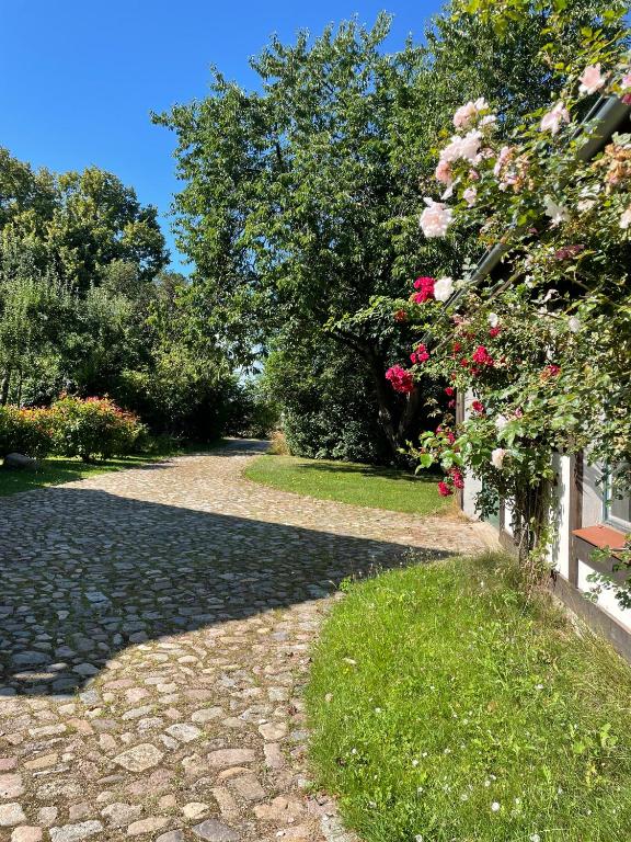 a walkway with a bush of roses on a building at FeWo Naturgeflüster - Mecklenburger Outback - Garten & Kamin - Private Sauna in Zölkow