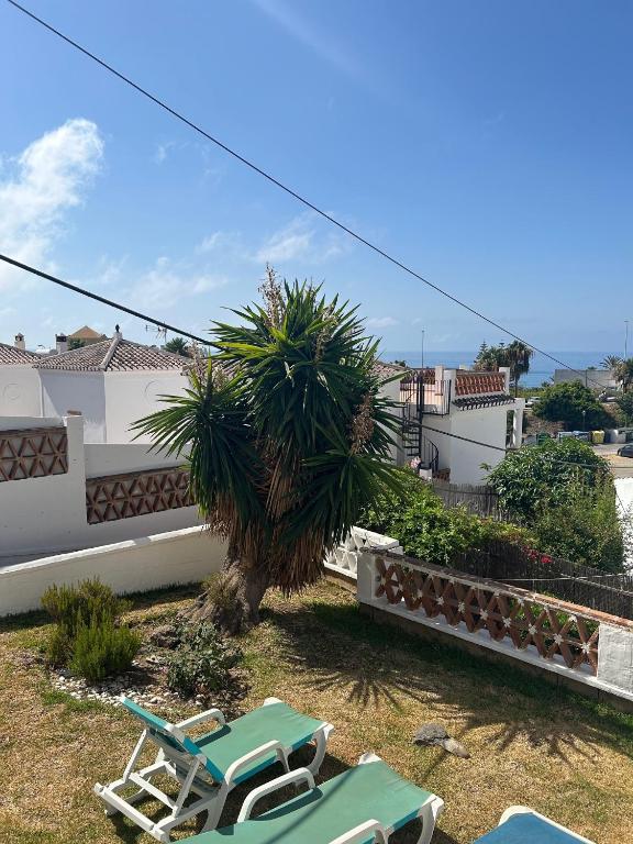 Un par de sillas y una palmera en un patio. en TropicanaB11, en Nerja