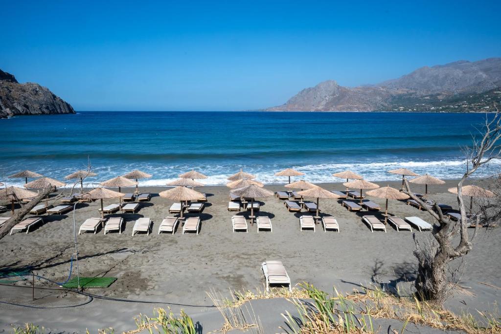 Plakias Bay Hotel - 17