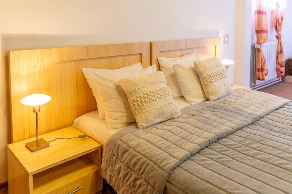 Hotel Roberto Sinaia - Resim 1