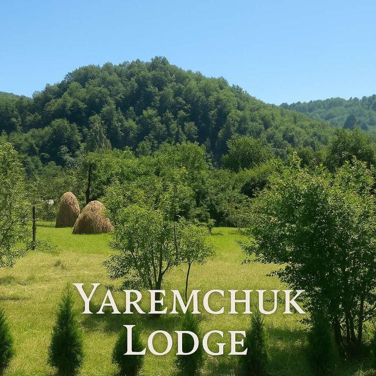 a sign in a field with trees and a mountain at Yaremchuk lodge in Tyudov