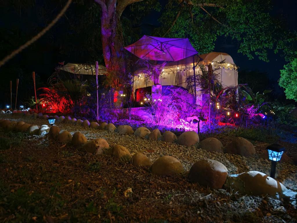 an igloo lit up at night with purple lights at Novaglamp Alma, amor y bosque in Agua de Dios
