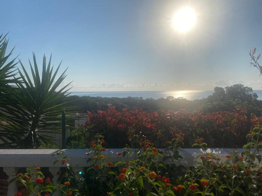 Gallery image of Maison de vacance avec vue imprenable sur mer in Poggio-Mezzana