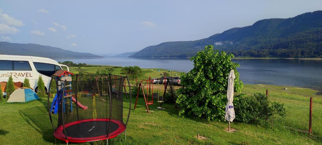 Complex Forest Sarnitsa