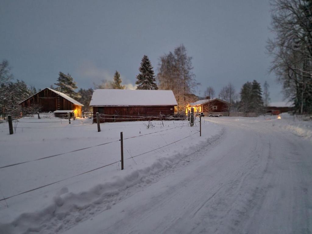Koivistonpiha farmstay en invierno
