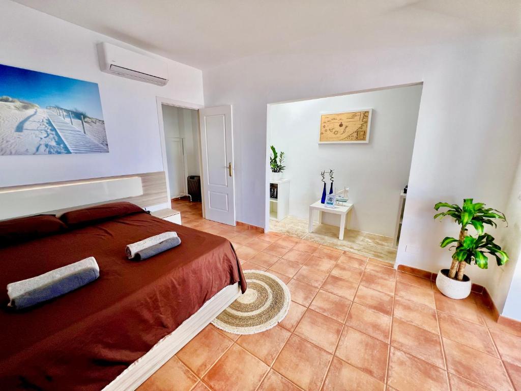 a bedroom with a bed and a potted plant at Alojamiento Vacacional con balcón La Vela in Puerto Calero