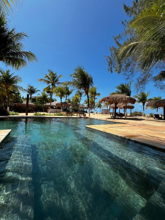 a swimming pool with palm trees on a beach at Recanto da Praia Pousada in São Miguel do Gostoso