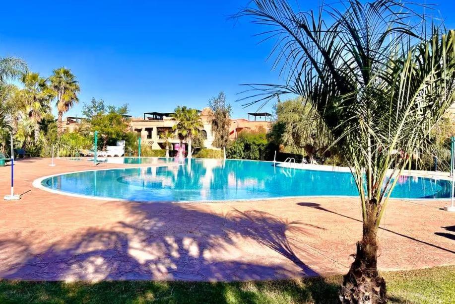 a large swimming pool with a palm tree next to it at Dar Hegoa Villa Soleil et Chaleureuse in Marrakech