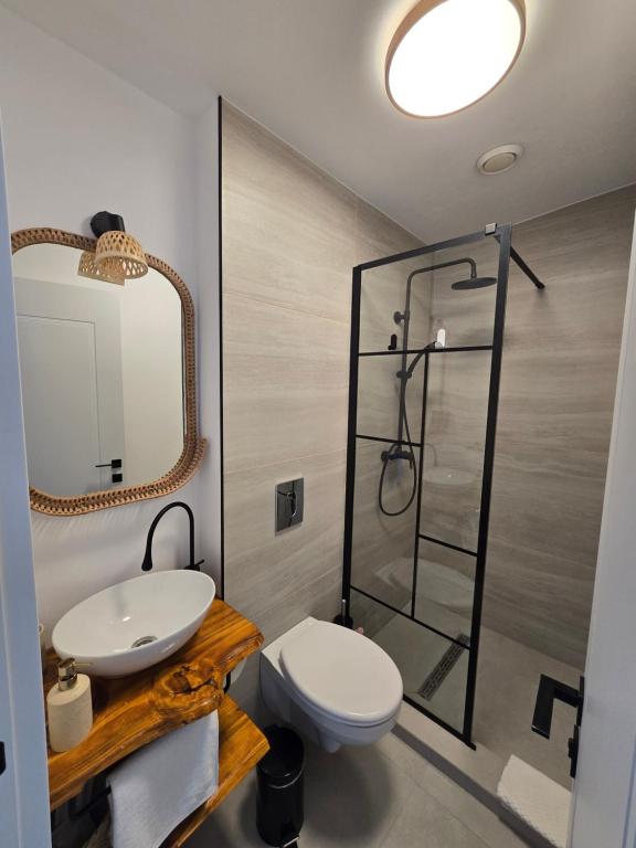 een badkamer met een wastafel, een toilet en een spiegel bij Moon Lake Bicaz - Aurora Sky in Buhalniţa