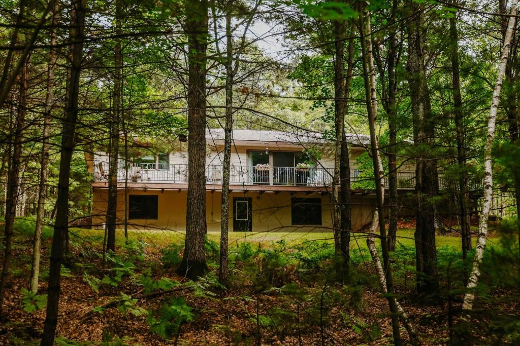 una casa en medio del bosque en Brandy Bay Hideaway, en Arbor Vitae