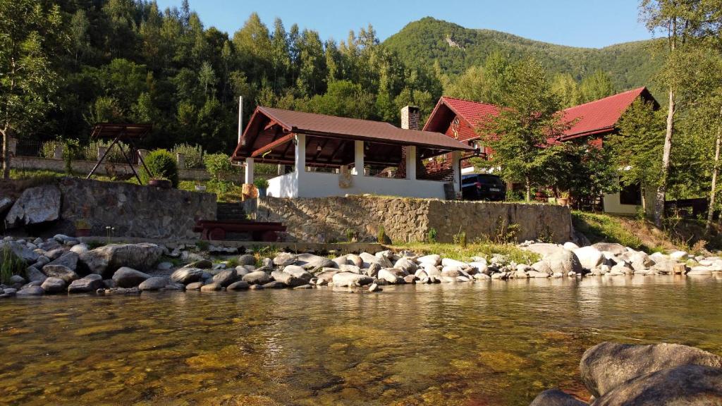 a house by the water with a group of rocks at Cabana Minand in Râu de Mori