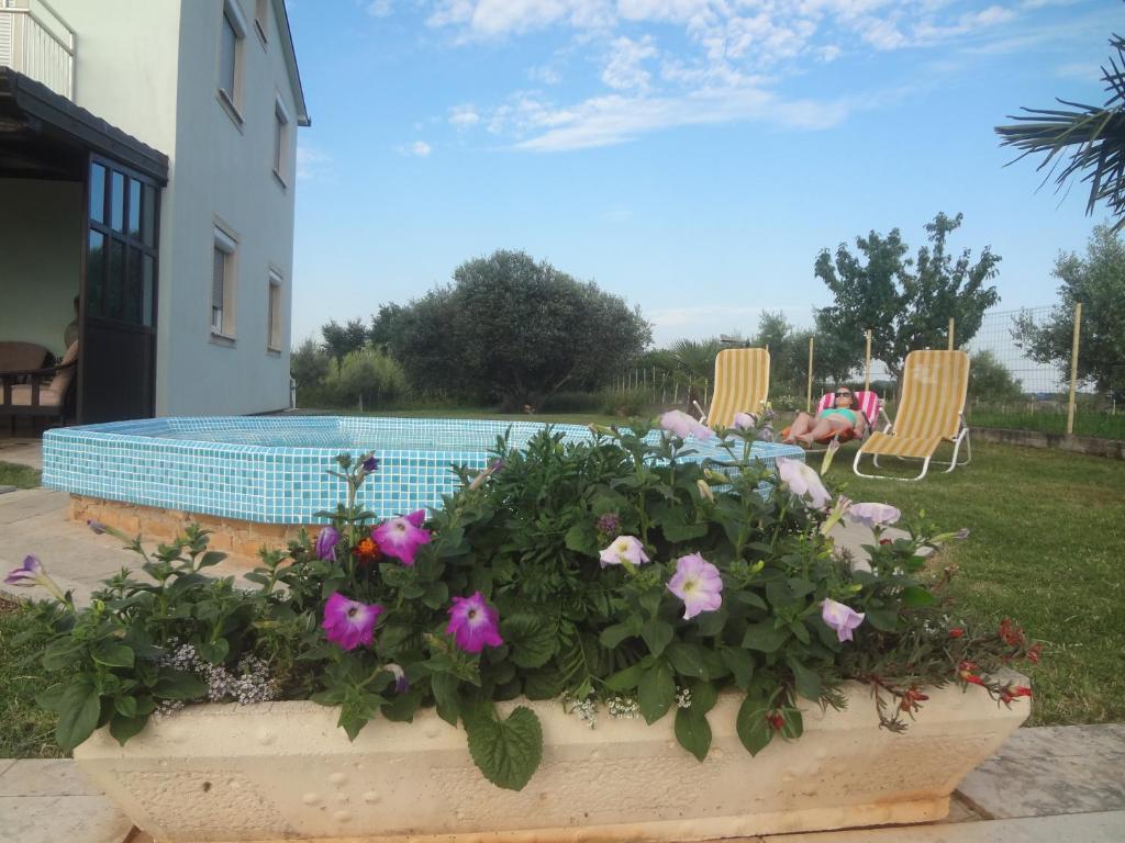 una maceta de flores frente a una piscina en Apartments Ždravac, en Umag