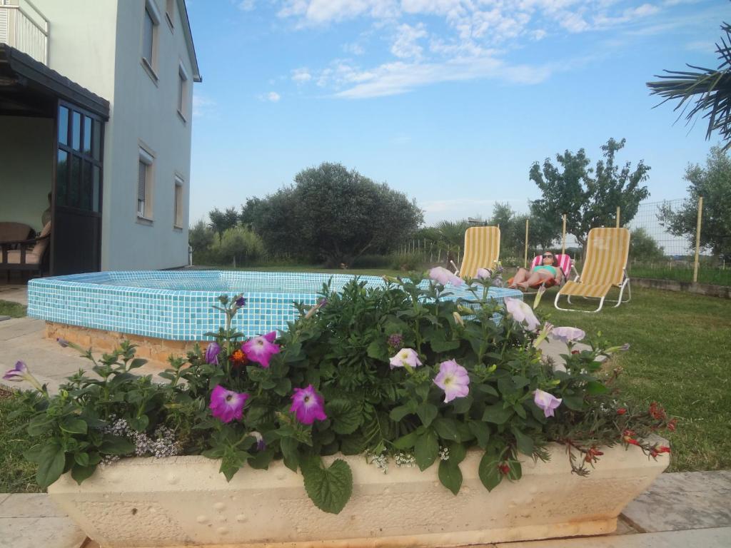 Apartments Ždravac - Housity