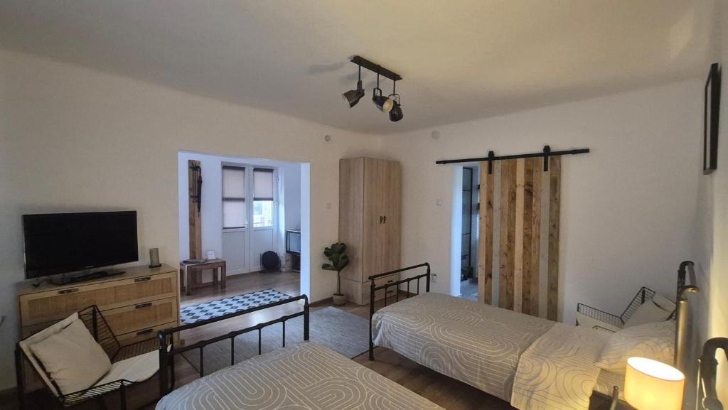 una camera da letto con due letti e una TV a schermo piatto di Casa LADIS a Iernut